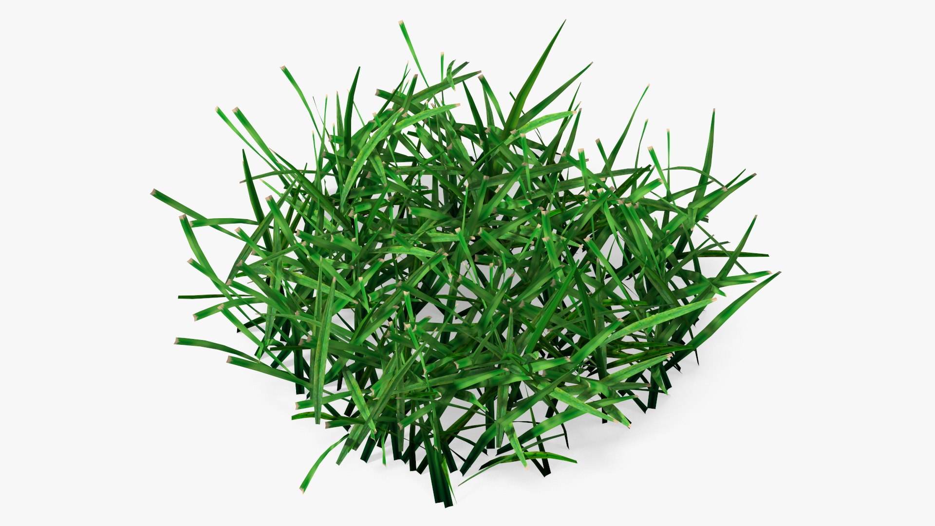3D Grass Clumps Collection model https://p.turbosquid.com/ts-thumb/LH/Cwhk16/4W/realisticlawngrasspatchvray3dmodel001/jpg/1723619580/1920x1080/fit_q87/96fd63506d7824862eb75b1bbe76298193cfbd74/realisticlawngrasspatchvray3dmodel001.jpg