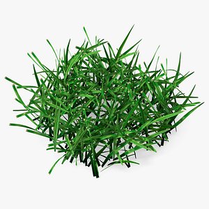 Realistic Lawn Grass Patch 3D model