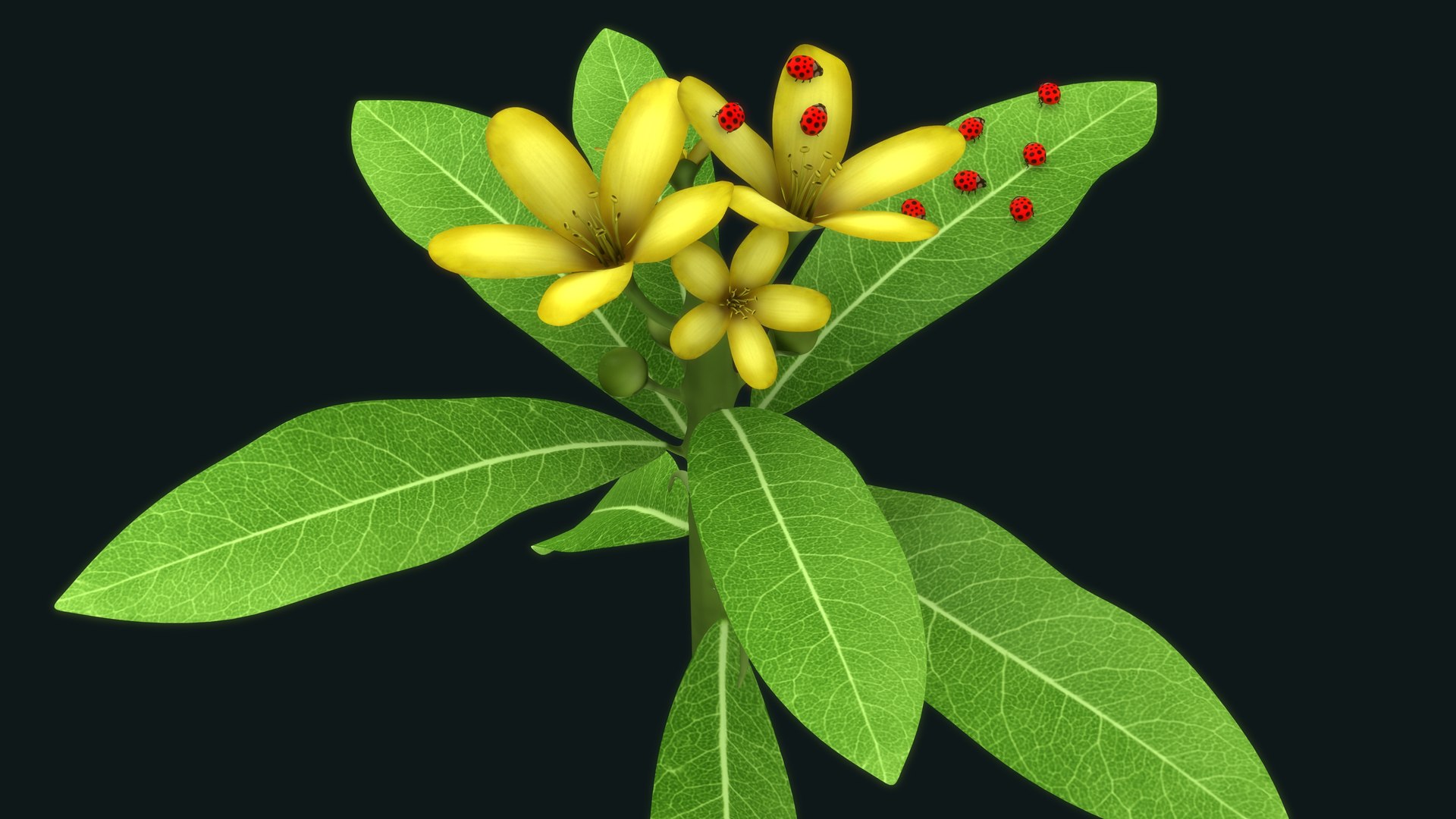 3D model Malpighiaceae flower and ladybug https://p.turbosquid.com/ts-thumb/LH/Ft4Oqd/Xb/b0758aggregation_airl/jpg/1632573873/1920x1080/fit_q87/491537f1a47e255e0bb40ae0a4571ec6976c470e/b0758aggregation_airl.jpg