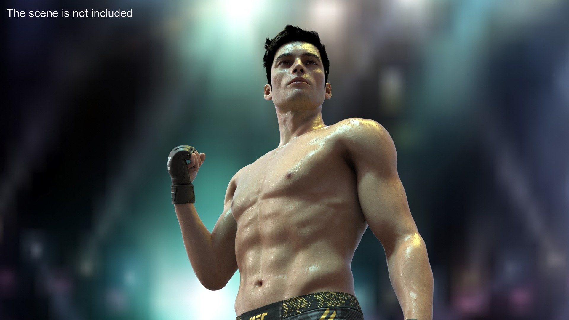 3D Model Fighter UFC MMA In Pose Sweaty Fur - TurboSquid 2334150