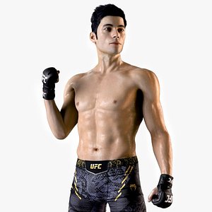 Fighter UFC MMA in Pose Sweaty Fur