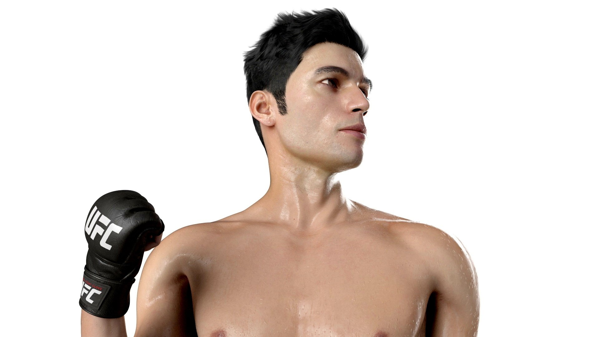 3D Model Fighter UFC MMA In Pose Sweaty Fur - TurboSquid 2334150