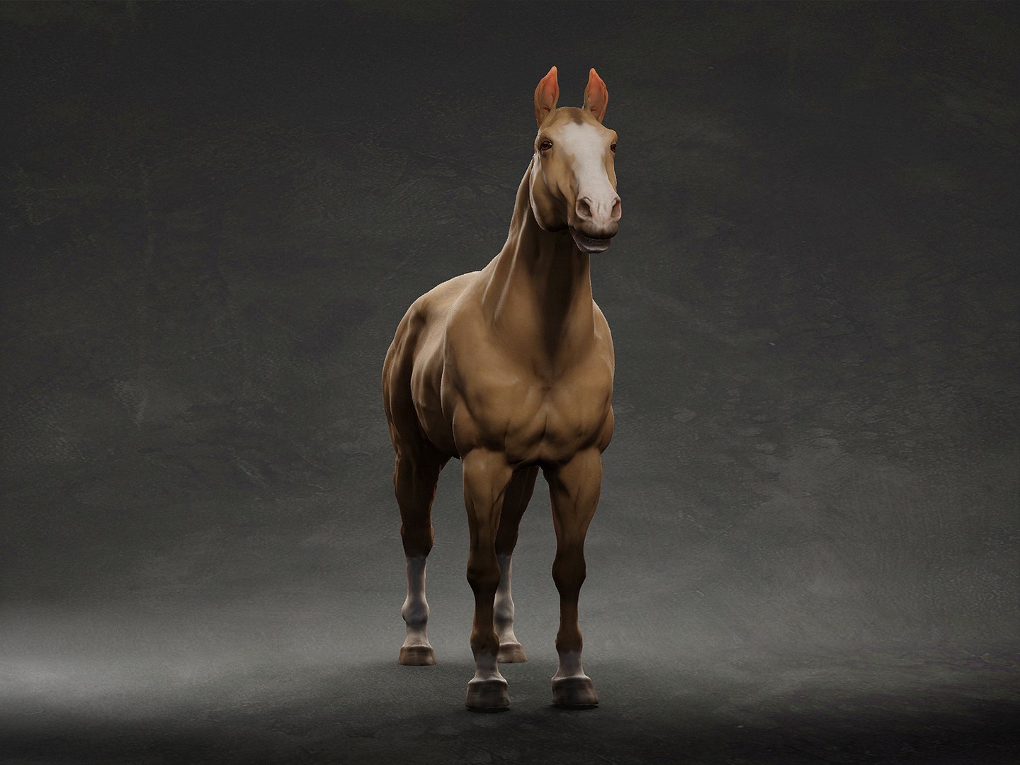 3D animal horse https://p.turbosquid.com/ts-thumb/LH/OvPBsd/Qt/4/jpg/1633291081/1920x1080/fit_q87/06f5fd9290365f4bd1925b23a1da9d990b333f99/4.jpg