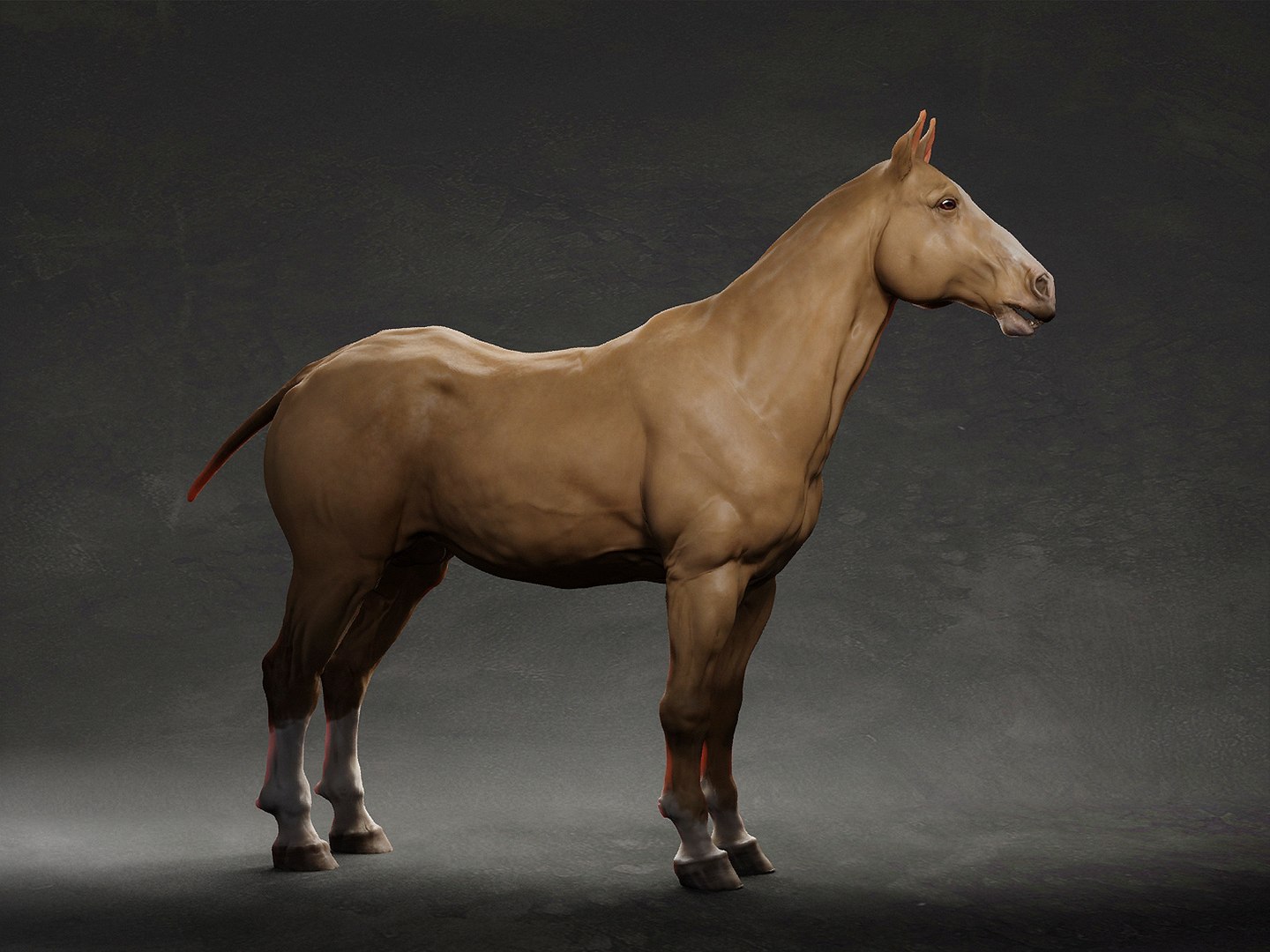 3D animal horse https://p.turbosquid.com/ts-thumb/LH/OvPBsd/Xl/3/jpg/1633291078/1920x1080/fit_q87/0538d698abbfc2816231ac83ef5cf5323836aa5f/3.jpg