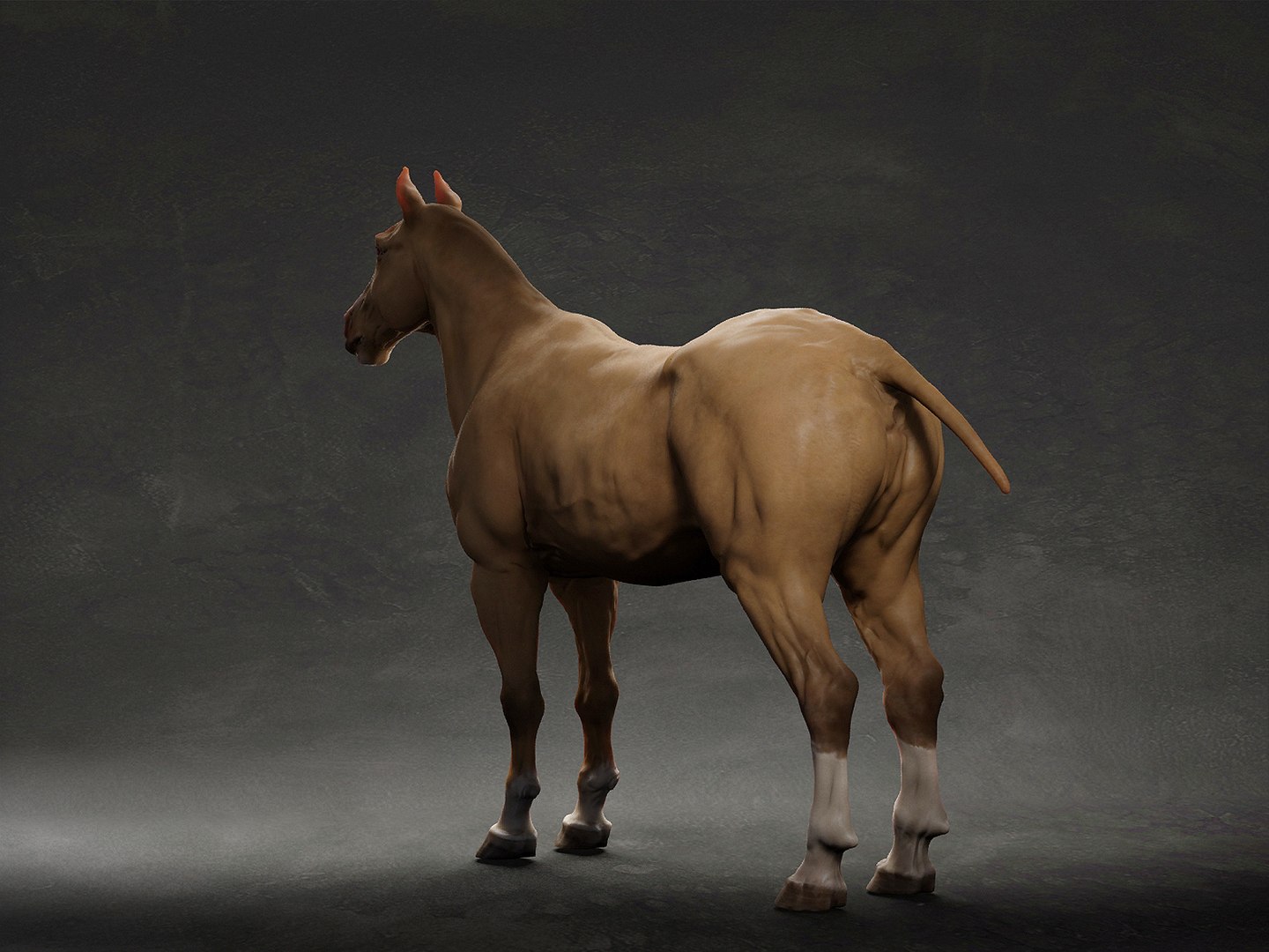 3D animal horse https://p.turbosquid.com/ts-thumb/LH/OvPBsd/fQ/5/jpg/1633291084/1920x1080/fit_q87/73804401b5ae0be464ec6f838fbe100df720de70/5.jpg