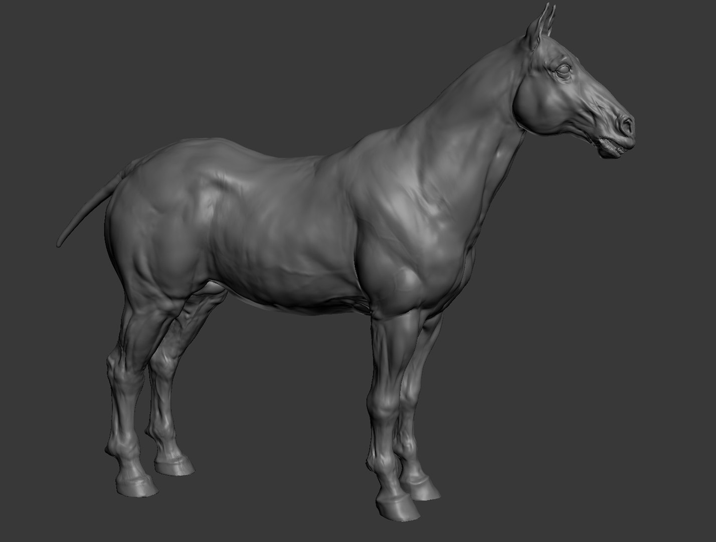 3D animal horse https://p.turbosquid.com/ts-thumb/LH/OvPBsd/yU/mesh/jpg/1633290937/1920x1080/fit_q87/2fede4b3ce10c1995a4038a840510d0e5a7e984a/mesh.jpg