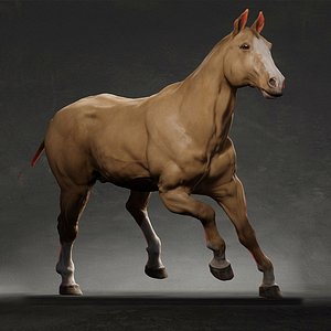3D animal horse