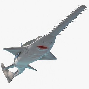 3D model sawfish attack pose fish