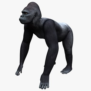 gorilla pose 2 3d model
