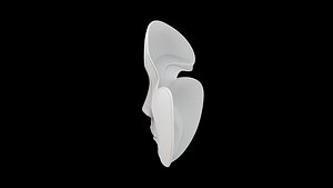 3D Abstract Face Mask Sculpture