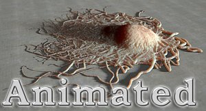 Necrotic Dying Cell Apoptosis Animated