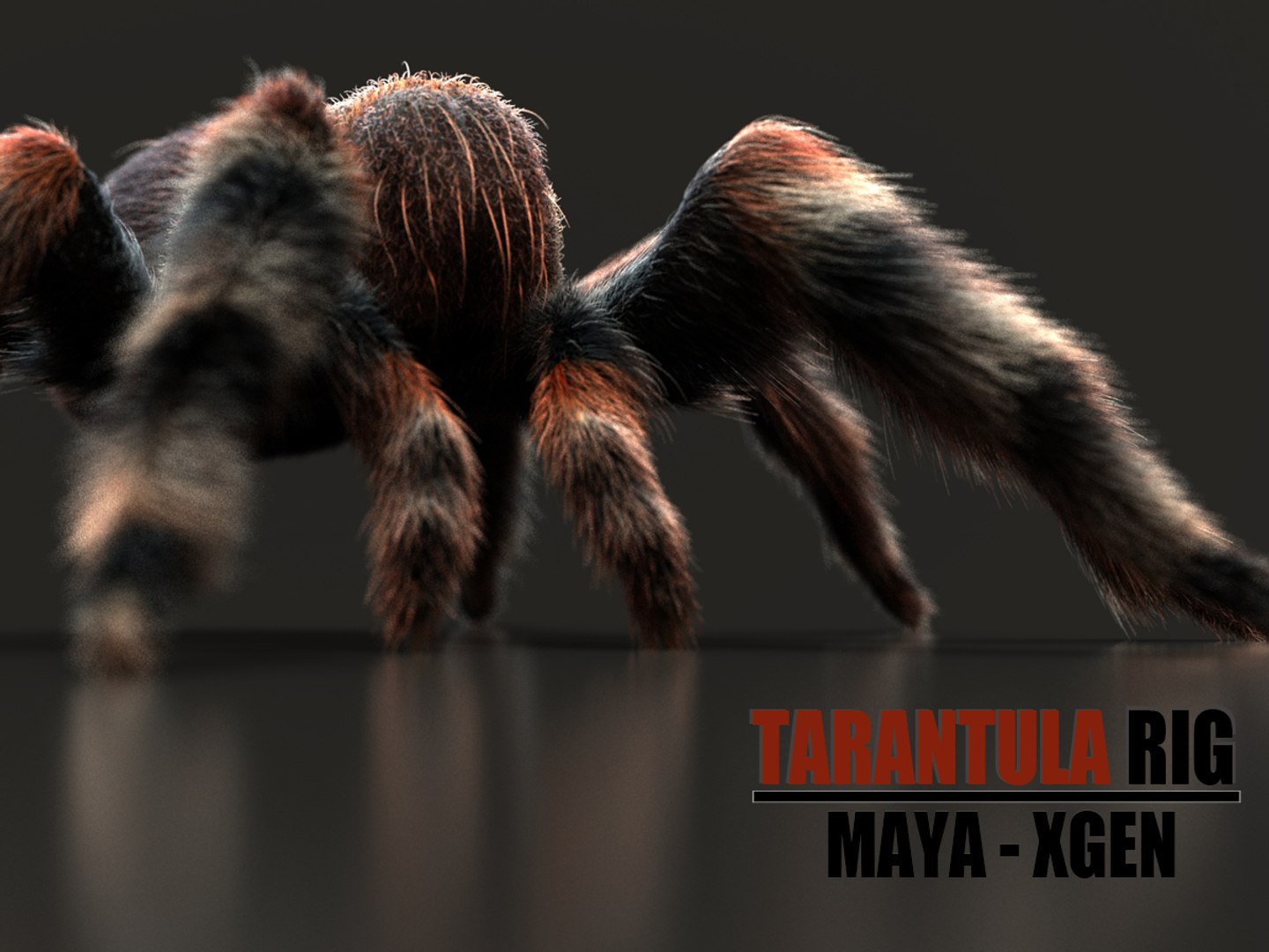 3D TARANTULA RIG XGEN - TurboSquid 2253822