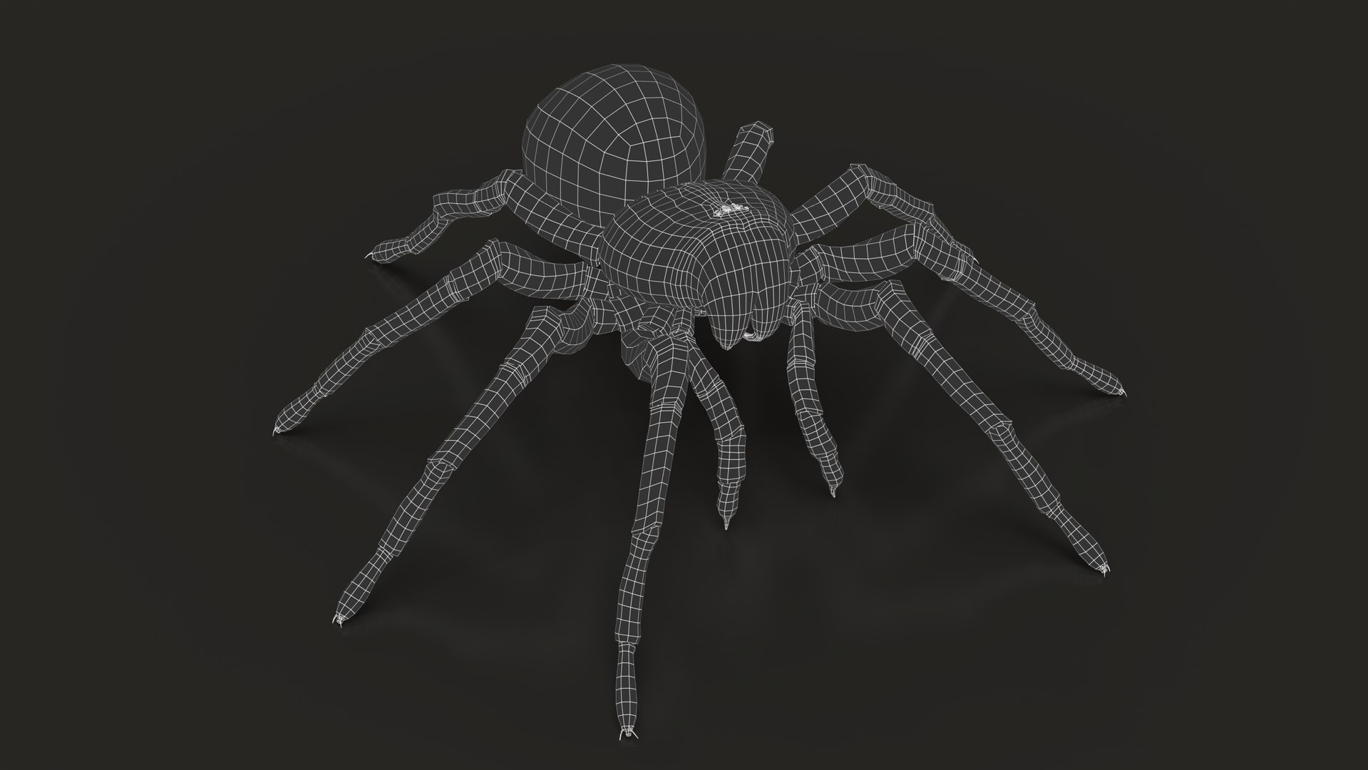 3D TARANTULA RIG XGEN - TurboSquid 2253822