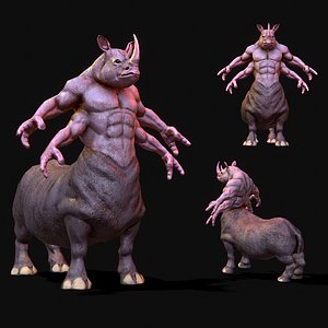 warrior rhino model