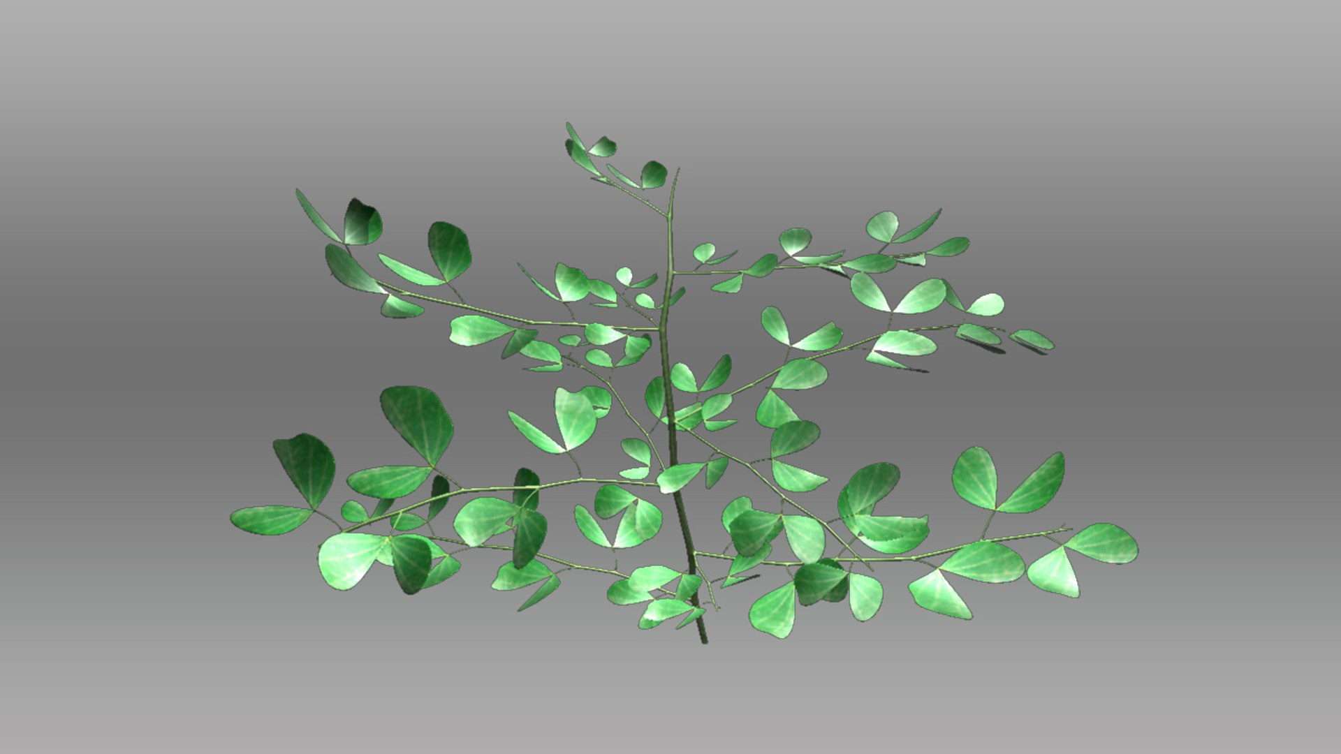 modelo 3d Bifoliado - TurboSquid 772019