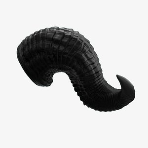 Horn model