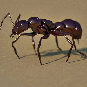 3d ant animation