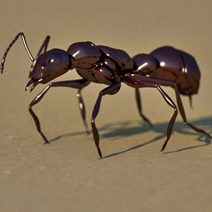 Ant