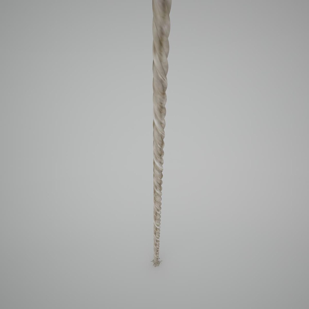 3D model rope https://p.turbosquid.com/ts-thumb/LI/LS68ov/d7USTSzI/rope_0010/jpg/1520454279/1920x1080/fit_q87/bfbceb55a9b3082dcc21b7b85a5c9f9769d8c77c/rope_0010.jpg