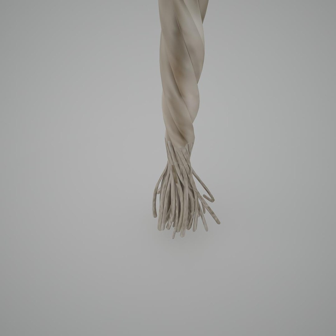 3D model rope https://p.turbosquid.com/ts-thumb/LI/LS68ov/h1yTkljr/rope_0015/jpg/1520454279/1920x1080/fit_q87/e8c9d25744b21581c1d8a01c24bc9bb9d515a598/rope_0015.jpg