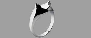 feng shui lucky cat ring