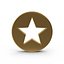 Gold Star 3D model