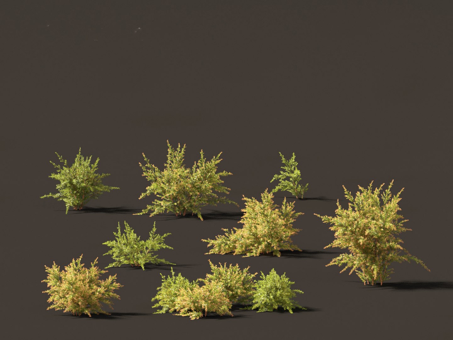 3D Australian Garden Essentials Pack 30 model https://p.turbosquid.com/ts-thumb/LI/RCbx7u/He/baeckeavirgata013/jpg/1759973326/1920x1080/fit_q87/74bb3b8a9fd000a65d6ae88ac71fcd8c3cb6c0d7/baeckeavirgata013.jpg