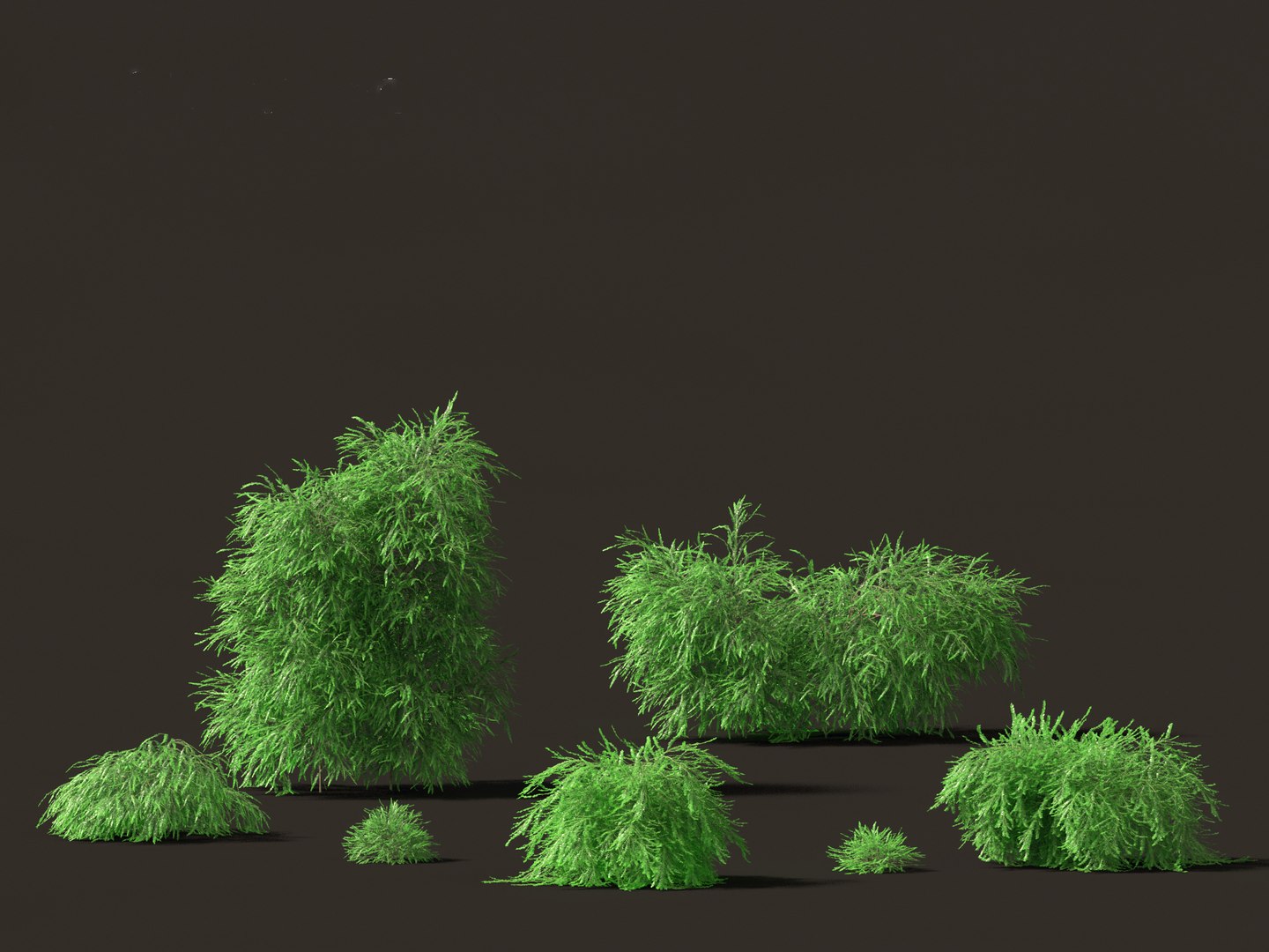 3D Australian Garden Essentials Pack 30 model https://p.turbosquid.com/ts-thumb/LI/RCbx7u/Lg/phyllanthusmultiflora019/jpg/1759973368/1920x1080/fit_q87/8a4cc658d3744caffb7d58bd9704fc6bf60c56ba/phyllanthusmultiflora019.jpg