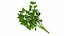 Produtos de vegetais para salada