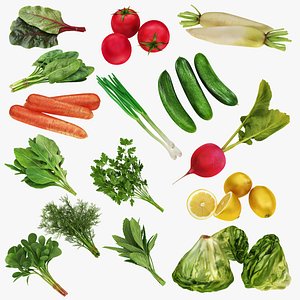 3D Salad Vegetable Products model