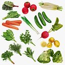 Produtos de vegetais para salada