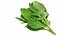 Produtos de vegetais para salada