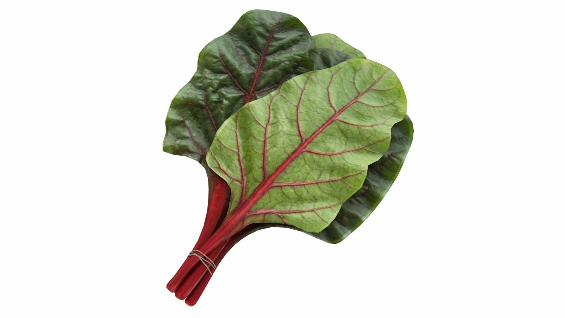 3D Salad Vegetable Products model https://p.turbosquid.com/ts-thumb/LI/fbVDin/gH/bunchofchard1/jpg/1768934661/1920x1080/fit_q87/18992244b14dbc389b4047f89d979ecdf69805b8/bunchofchard1.jpg