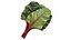 Produtos de vegetais para salada