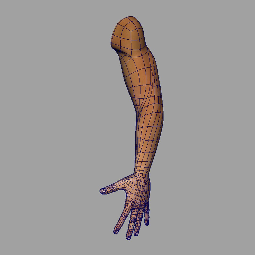 3D Realistic Male Arm Model - TurboSquid 1295834