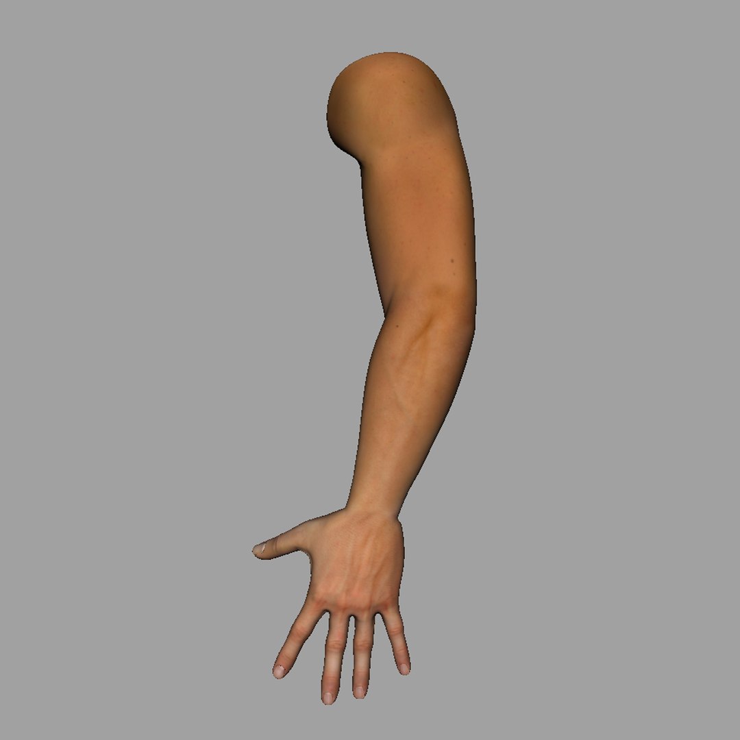 Arm parts body. Human Arm 3d. 3d Arms. Arm. Arm model.