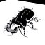 robot bug