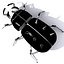 robot bug