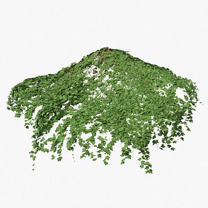 ivy pbr branches 3D model