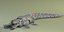 trasformatore croco