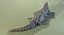 trasformatore croco