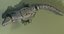 trasformatore croco