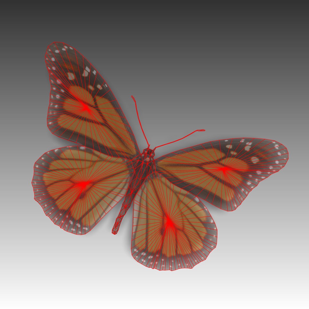 Butterfly Fly 3d Obj