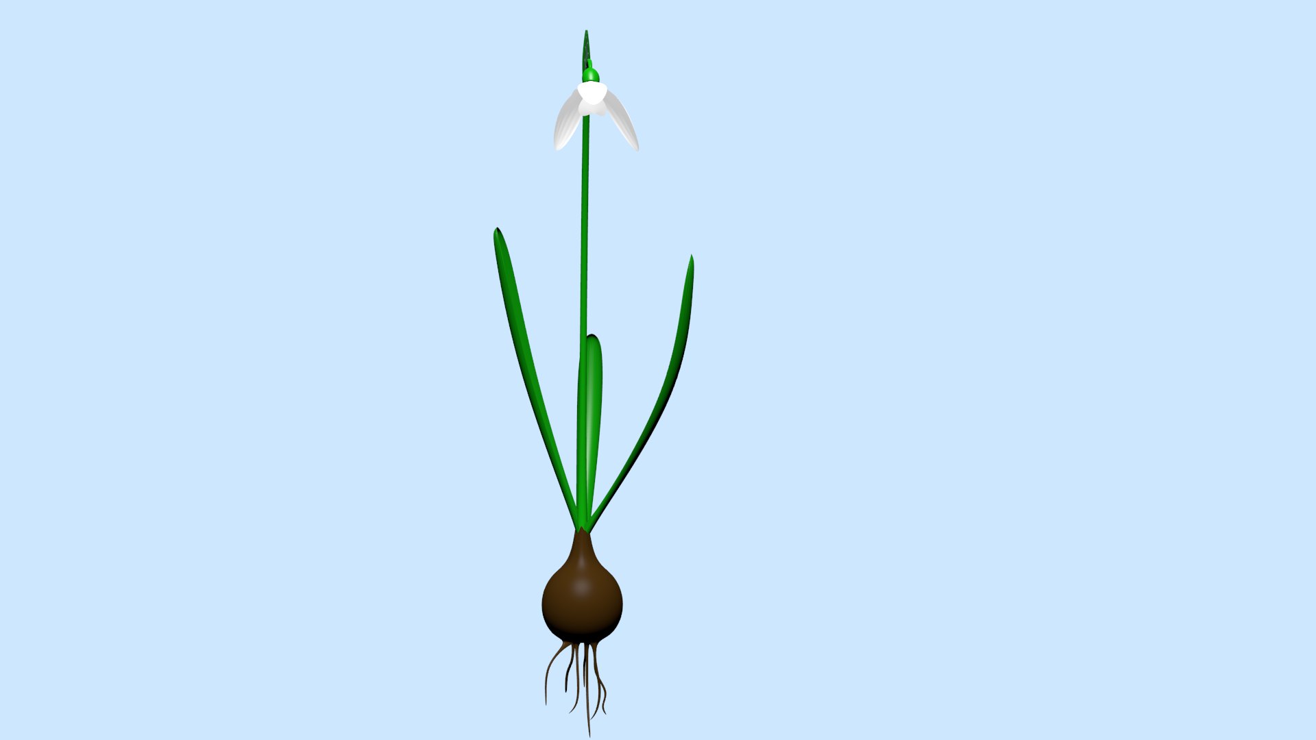 3D Snowdrop - TurboSquid 1477924