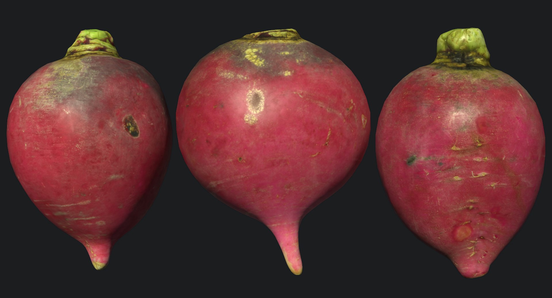 Radish Scan 3D Model | 1142567 | TurboSquid