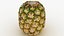 Topless Pineapple Set