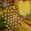 Topless Pineapple Set