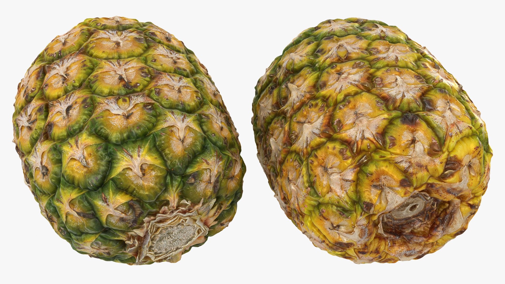 ToplessPineappleSet 3D model https://p.turbosquid.com/ts-thumb/LJ/bW7syp/g6/lemon_rr_02a/jpg/1619628540/1920x1080/fit_q87/1619fdb0b8e01fe1d063f0253f8ab53ca057dc49/lemon_rr_02a.jpg