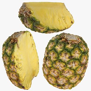 Topless Pineapple Set 3D model