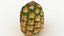 Topless Pineapple Set